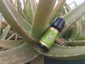 bc2962c8-5a9d-4173-94db-ce09908b70e8